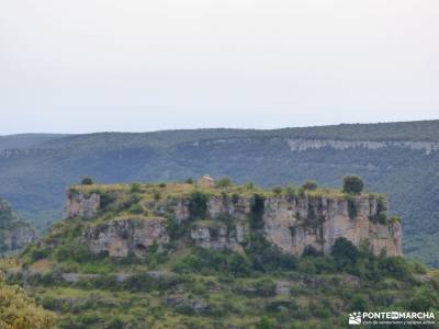 Sedano,Loras-Cañones Ebro,Rudrón;valle de jerte cerezos en flor el bosque de irati rutas culturale